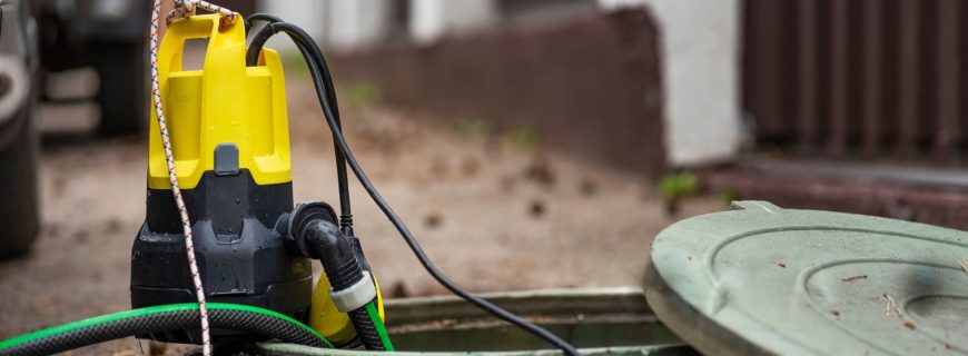 wmremove-transformed (36)